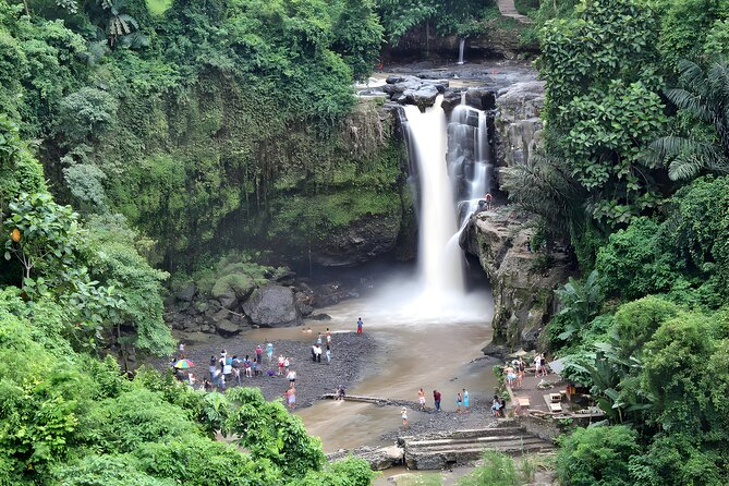 Private Half-Day Tour: Ubud Tour Packages - Monkey Forest, where nature and nerves meet