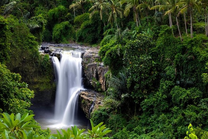 Private Inclusive Tours: 2 Days highlight of Bali - Tegalalang Rice Terrace offers Bali’s classic inland view
