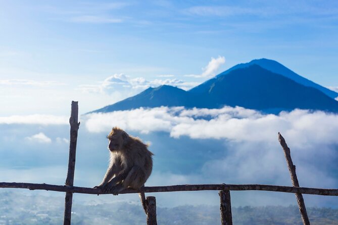 Private Mount Batur Sunrise Trekking Tour - The guides are the biggest strength