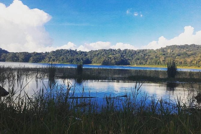 Private Munduk Waterfalls Trekking Tour - Why Munduk makes a better trekking base than a quick waterfall stop