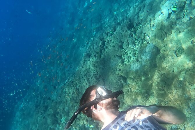 Private Nusa Penida Snorkeling Tour - What the private service feels like in practice