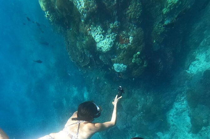 Private Nusa Penida Snorkeling Tour - Is $157.84 per person a fair price?
