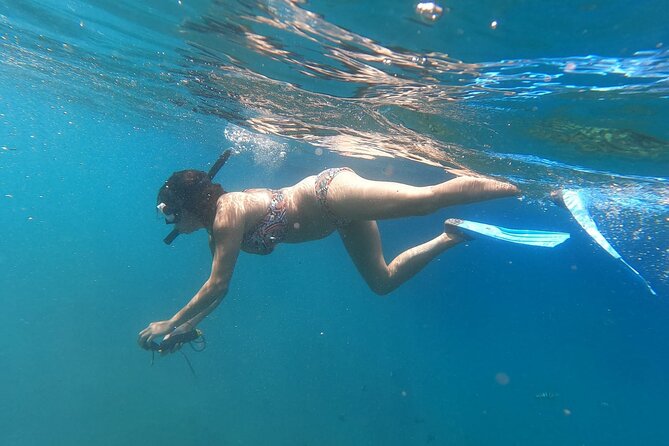 Private Nusa Penida Snorkeling Tour - Who should book this and who should skip it?