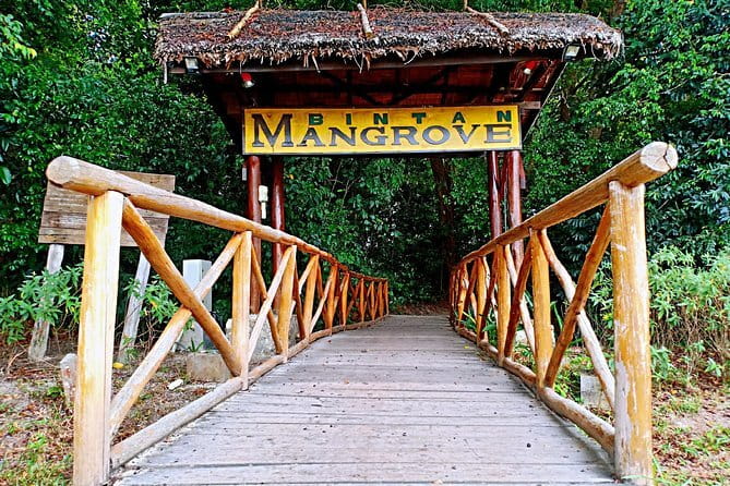 Private One Day Bintan Island Tour - 500 Lohan Temple and Its Thousand Faces