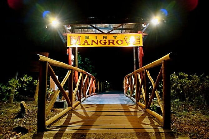 Private One Day Bintan Island Tour - Tanjung Pinang for Snacks and Local Shopping
