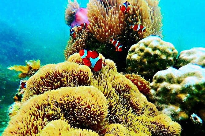 Private One Day Bintan Island Tour - Is $77 Good Value?