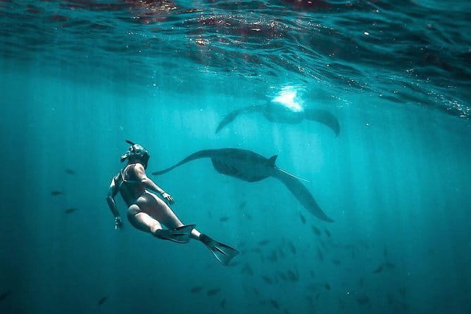 Private Sightseeing Northern East Bali All inclusive - Who should book this private day