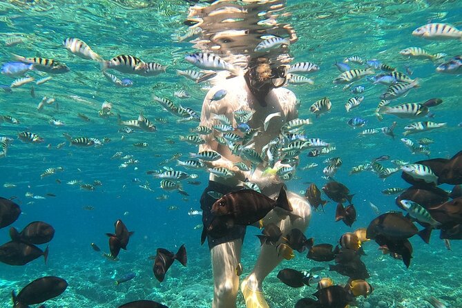 Private Snorkeling from Nusa Penida - Why the private format matters