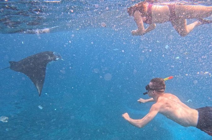Private Snorkeling from Nusa Penida - Crystal Bay for a calmer pause