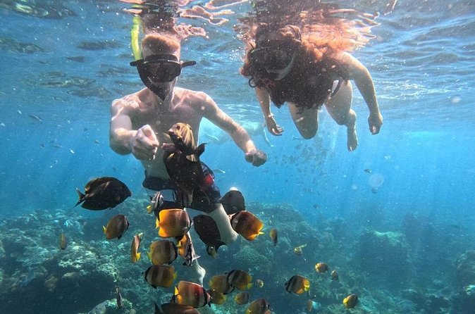 Private Snorkeling from Nusa Penida - Gear, lunch, and the practical details