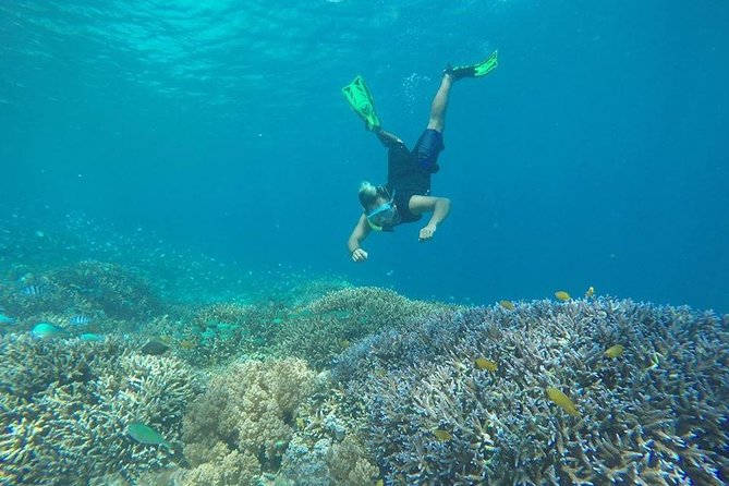 Private Snorkeling Gili Island (Coral, Statue and Turtle) - The underwater statues at Gili Meno