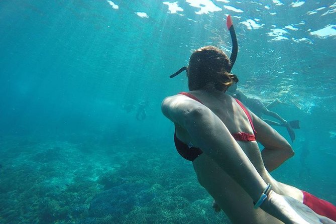 Private Snorkeling Gili Island (Coral, Statue and Turtle) - Private boat advantages and the check-in warning