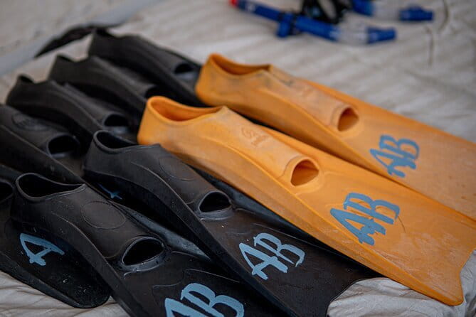 Private Snorkeling Gili Island Including GoPro Camera - Glass-bottom boat ride to the first stop