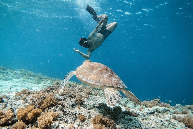 Private Snorkeling Gili Island Including GoPro Camera - Starting near the harbor on Gili Trawangan
