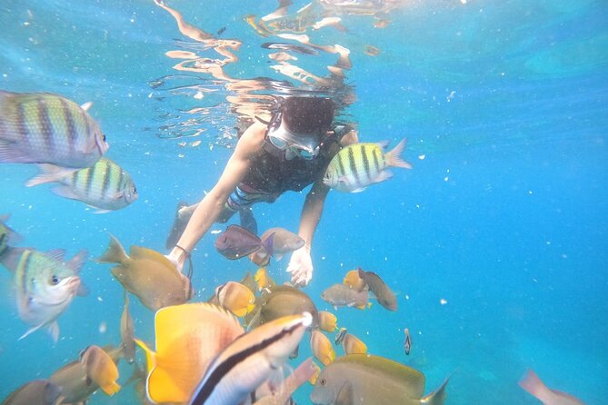 Private Snorkeling in Manta Bay, Gamat Bay & Wall at Nusa Penida - Why a private boat changes the day