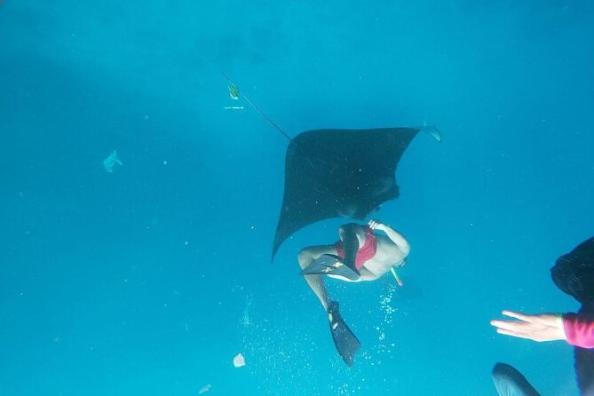 Private Snorkeling in Manta Bay, Gamat Bay & Wall at Nusa Penida - Wall Point, Crystal Bay, and an itinerary detail to confirm