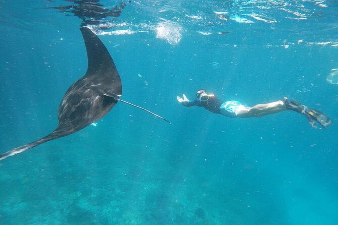 Private Snorkeling in Manta Bay, Gamat Bay & Wall at Nusa Penida - Lunch and the return ride to Bali