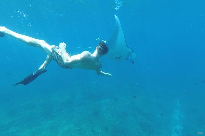 Private Snorkeling in Manta Bay, Gamat Bay & Wall at Nusa Penida - What the $115 price really covers
