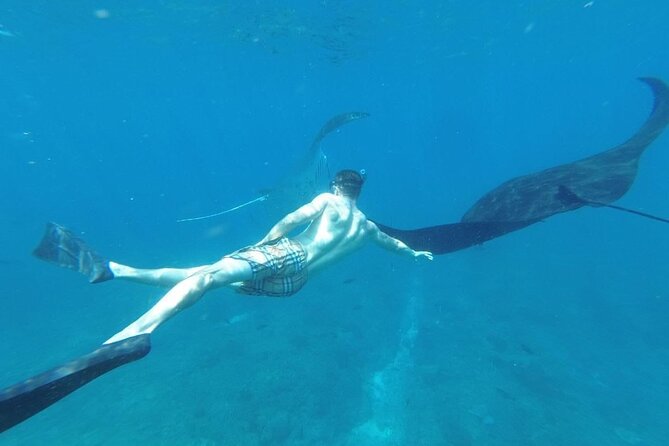 Private Snorkeling in Manta Bay, Gamat Bay & Wall at Nusa Penida - Fitness, equipment, and comfort in the water