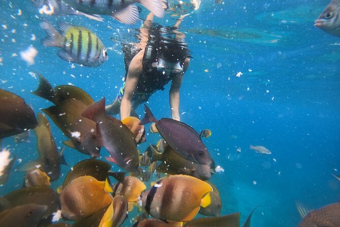 Private Snorkeling in Manta Bay, Gamat Bay & Wall at Nusa Penida - Manta Bay: exciting, but never guaranteed