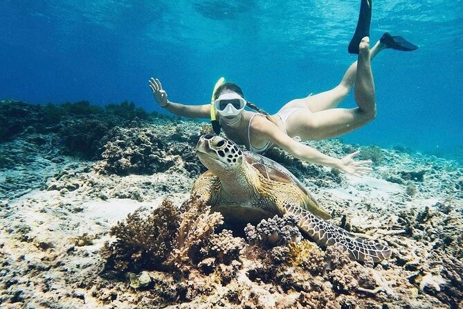 Private Snorkeling Start Gili Meno and Explore 4 Spots with GoPro - Four things worth knowing before you book