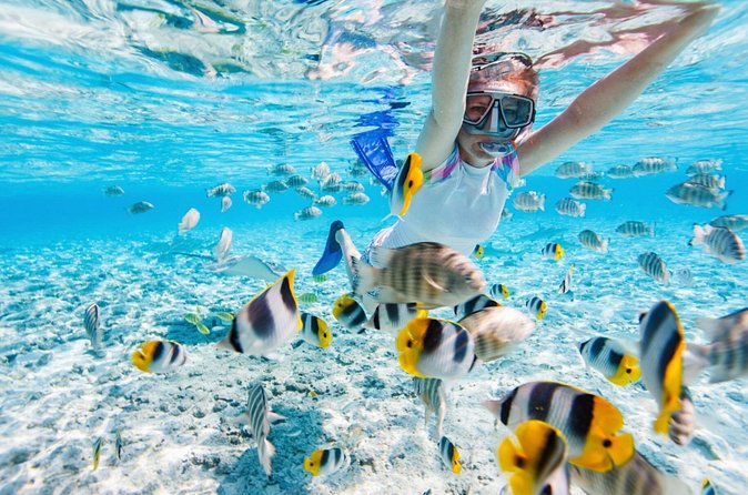 Private Snorkeling Start Gili Meno and Explore 4 Spots with GoPro - Returning on a glass-bottom boat