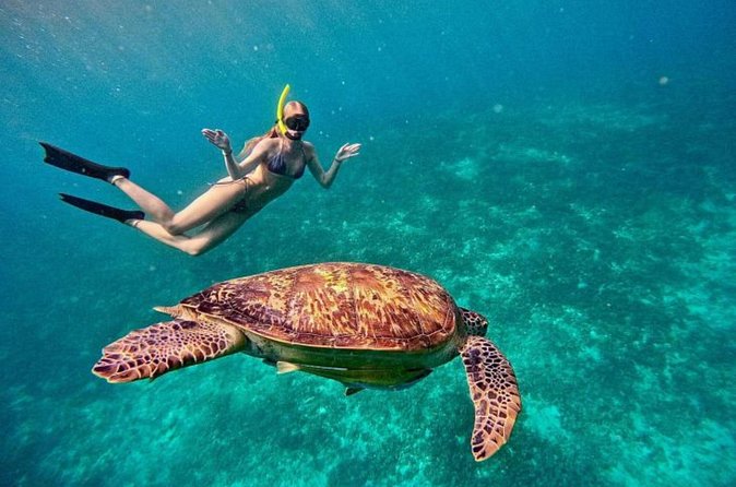 Private Snorkeling Start Gili Meno and Explore 4 Spots with GoPro - What the $36.49 price really covers