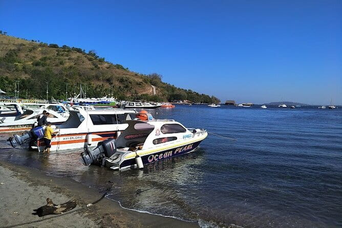 Private Speedboat transfer Between Lombok and Gili Islands - Choosing between Gili Trawangan, Gili Air, and Gili Meno