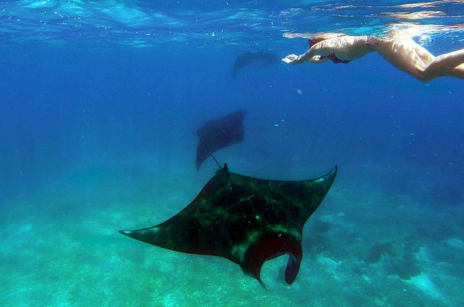 Private tour 4 days 3 nights Komodo on boat, waterfall and Rangko cave - Who should book this Komodo itinerary?