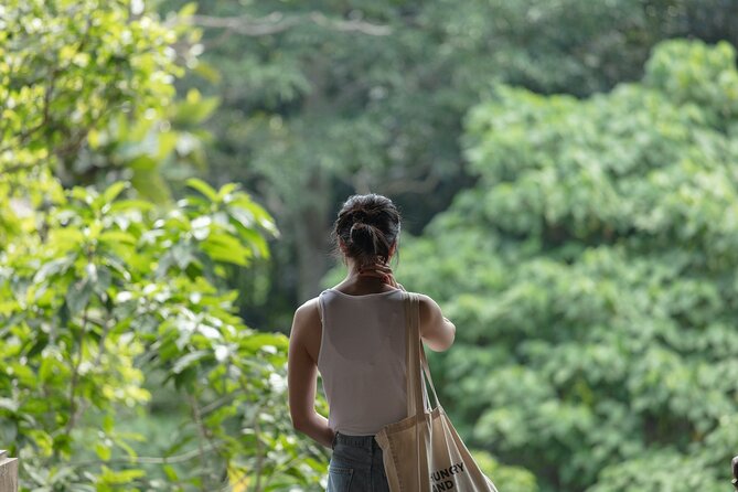 Private Tour : Bali Best Waterfalls, Temples and Monkey Forest - The Guides Can Shape the Whole Day