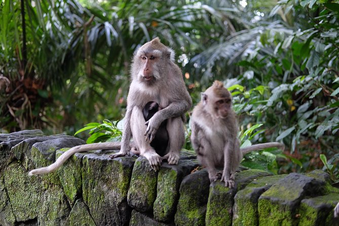 Private Tour: Bali in a Day - A private Bali day from Jimbaran