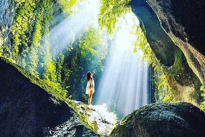 Private Tour: Bali in a Day - Tirta Empul and the meaning of sacred water