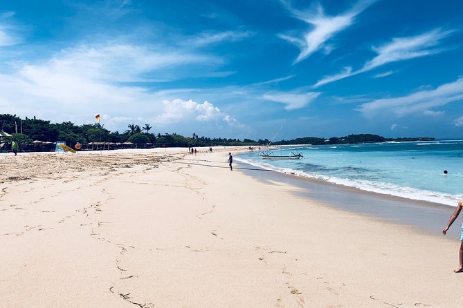 Private Tour: Bali in a Day - Price, timing, and what you still pay