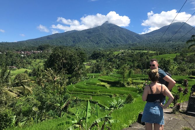 Private Tour: Bali Temple and Countryside Tour - Bali Butterfly Park and its rare insects