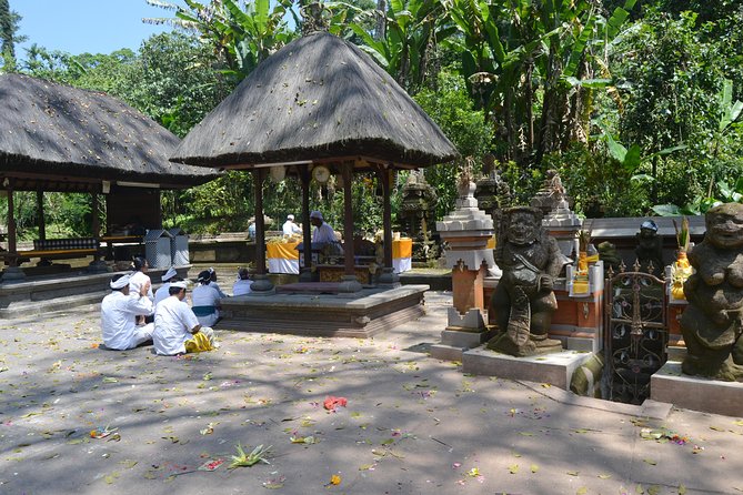 Private Tour: Bali Temple and Countryside Tour - Why the private guide matters
