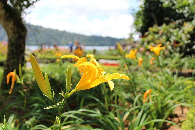 Private Tour: Bali Temples, Hidden Waterfall and Handara Gate - Ulun Danu Beratan: Bali’s postcard temple