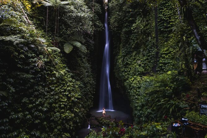 Private Tour: Bali Temples, Hidden Waterfall and Handara Gate - The Tanah Lot question you should settle first