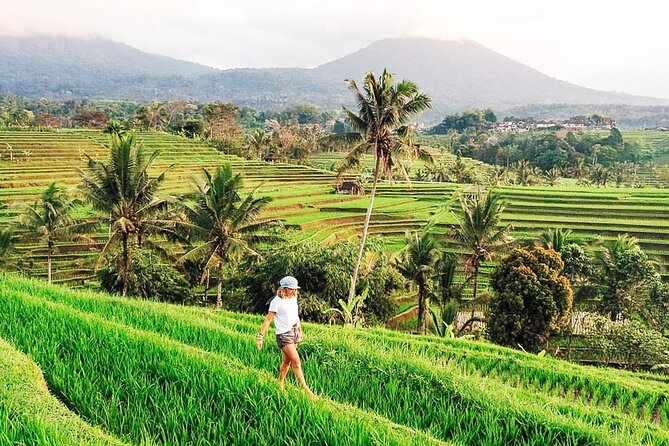 Private Tour: Bali UNESCO World Heritage Sites - Wanagiri brings the best high views