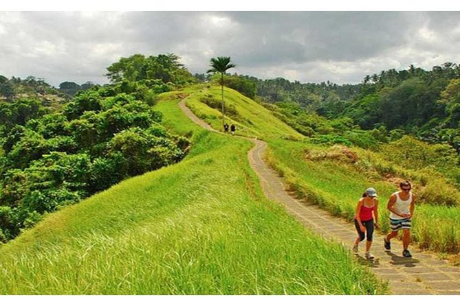 Private Tour: Campuhan Ridge Walk, Ubud Rice Terrace & Ubud Palace - Key points to know before booking