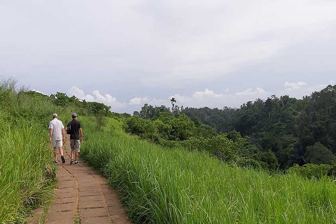 Private Tour: Campuhan Ridge Walk, Ubud Rice Terrace & Ubud Palace - Why this Ubud route works from Kuta