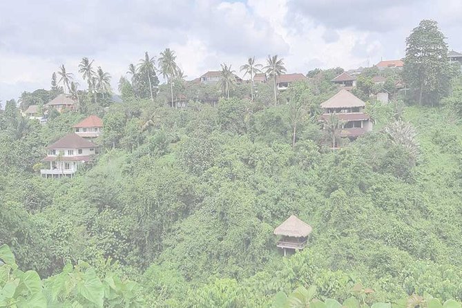 Private Tour: Campuhan Ridge Walk, Ubud Rice Terrace & Ubud Palace - Seeing the stepped fields at Ceking Rice Terrace