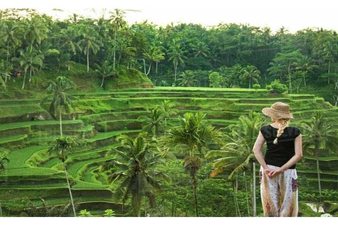 Private Tour: Campuhan Ridge Walk, Ubud Rice Terrace & Ubud Palace - Entering Ubud Palace in the town center