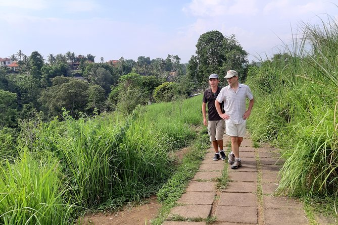 Private Tour: Campuhan Ridge Walk, Ubud Rice Terrace & Ubud Palace - The driver can shape the whole day