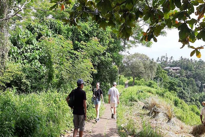 Private Tour: Campuhan Ridge Walk, Ubud Rice Terrace & Ubud Palace - Who will enjoy this private Ubud day
