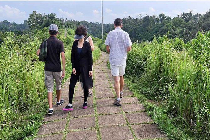 Private Tour: Campuhan Ridge Walk, Ubud Rice Terrace & Ubud Palace - Walking Campuhan Ridge for fresh air and hillside views