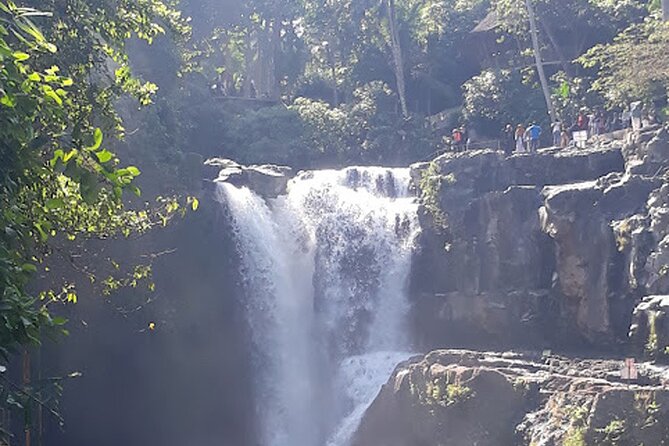 Private tour in Ubud country side - Walking among the macaques at Sacred Monkey Forest