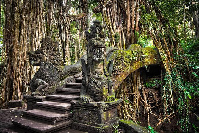 Private tour in Ubud country side - Tegalalang Rice Terrace and the famous Bali scenery