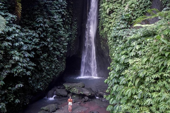Private Tour: Leke-Leke Waterfall, Handara gate & Iconic Temples - What the private car adds to the experience