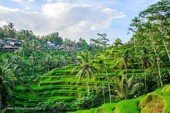 Private Tour : Mt. Batur View, Rice Terrace, Waterfall & More. - Starting with Barong and Kris at Sahadewa