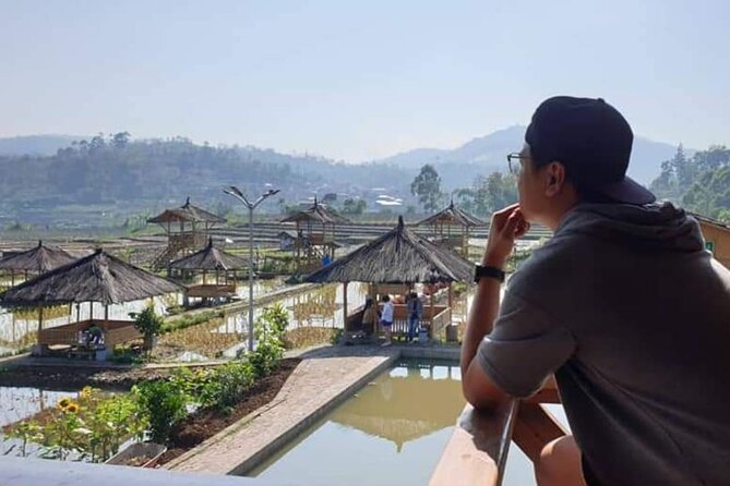 Private Tour to Bandung Volcano Hot Springs and Mud bathing - Who will enjoy this day most?